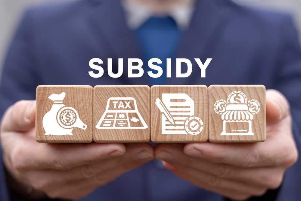 Tipos de Subvenciones: el apoyo financiero a la creación de empresas